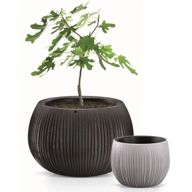 Misa Beton Bowl
